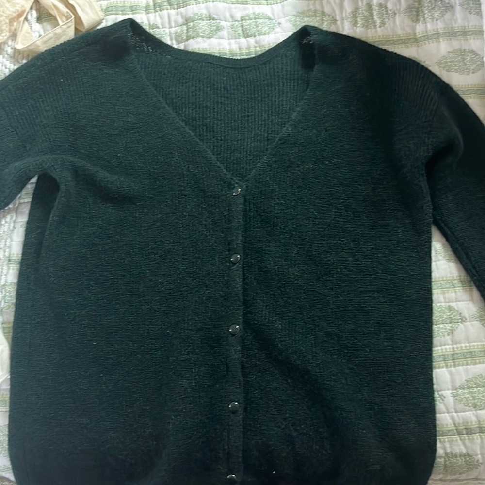 Wool fitted button up sweater